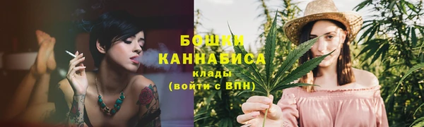 хмурый Михайловск