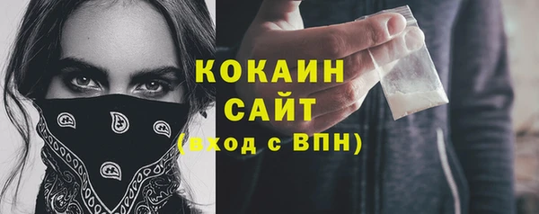 хмурый Михайловск