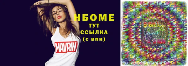 хмурый Михайловск