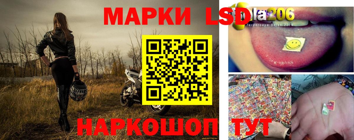 Кировск  Марки N-bome 1500мкг  Марки 25I-NBOMe  Марки N-bome 1500мкг  Вход с VPN 