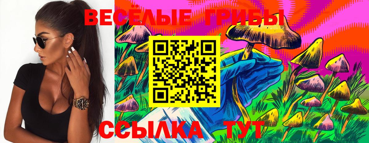 Псилоцибиновые грибы Psilocybine cubensis  Вход с VPN  цены   Галлюциногенные грибы Cubensis  Кировск 